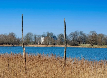 Nature reserve at the Mellnitz Ueselitzer Wiek on Ruegen