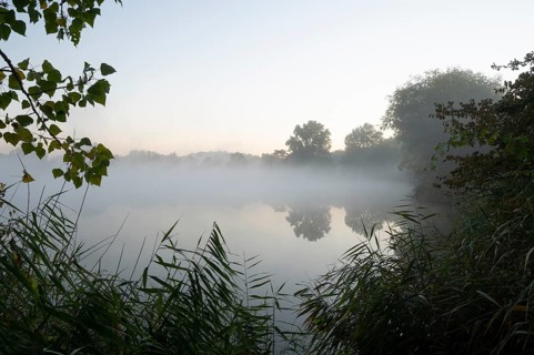Morning fog in the Herbslebener Teiche nature reserve