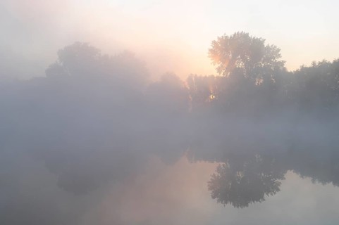 Morning fog and sunrise in the nature reserve Herbslebener Teiche