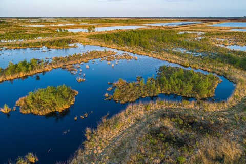 Aerial view of the Goldenstedt Moor