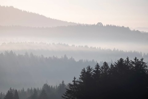 Morning mist in the Bavarian Forest