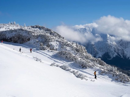 Skiers in winter landscape