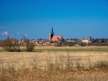 Elbe meadows near Wust-Fischbeck