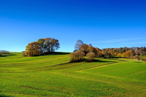 Fields and woods near Doepshofen