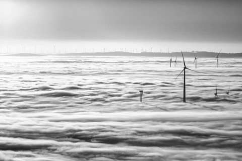 Wind turbines rising from cloud cover