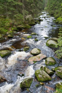 River flowing over stones