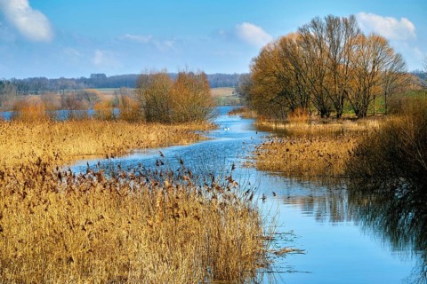 Doellnitzsee near Wermsdorf