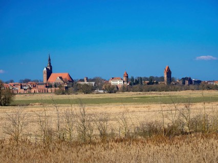 Elbe meadows near Wust-Fischbeck