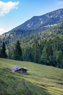 Mountain hut in a meadow