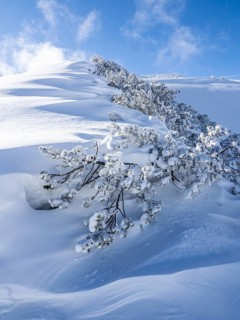 Blue sky over winter landscape