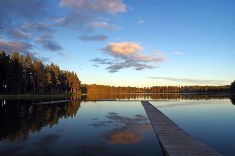 Trees reflected in the calm water of a lake