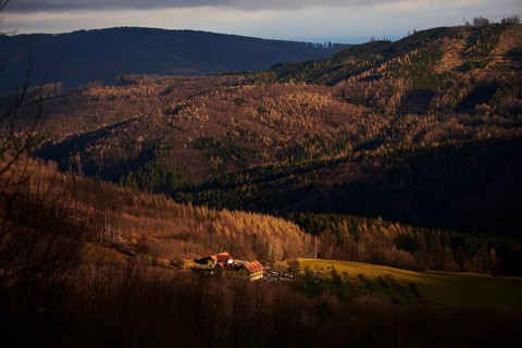 Spotlight from the sunon a small farm