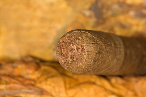 Hand rolled cigar on tobacco leaves