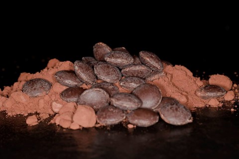 Dark couverture chocolate drops lying on cocoa powder