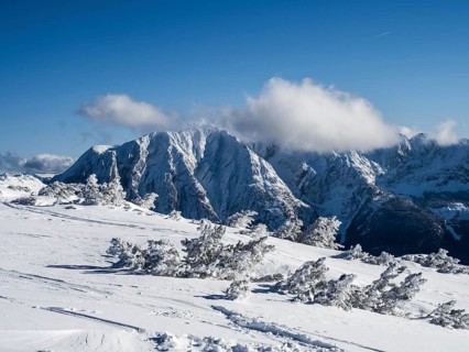 Blue sky over winter landscape