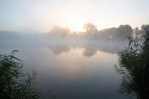 Morning fog and sunrise in the nature reserve Herbslebener Teiche