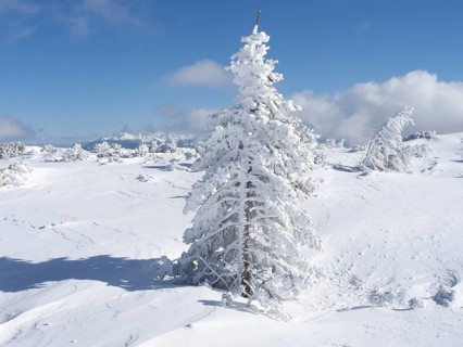 Blue sky over winter landscape