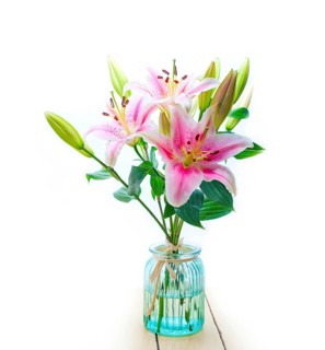 Pink lily flower bunch bouquet over white copyspace