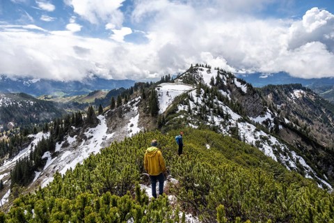 Two hikers on a hiking trail through mountain pines