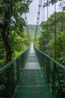 Suspension bridge in Selvatura Park
