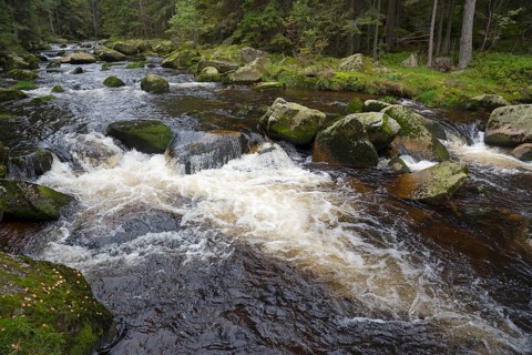 River flowing over stones