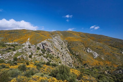 Spring in Crete