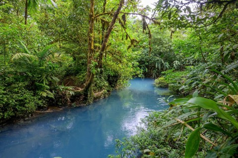 Blue turquoise water of the Rio Celeste caused by sulphur and calcium carbonate