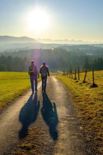 Hiker at the panorama path during the descent from the Kirnberg near Schoenberg