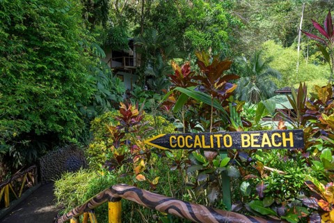 Signpost Cocalito Beach