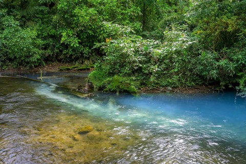 Spring with sulphur and calcium carbonate that causes the blue turquoise water of the Rio Celeste