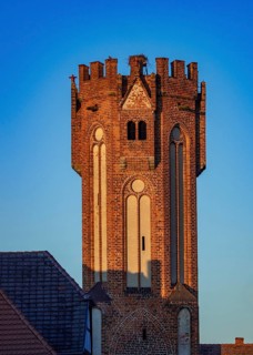 Owl Tower