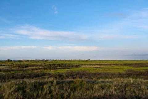 View over flat dune landscape of the Kalfamer to the island of Norderney