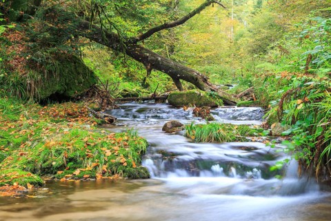 Allerheiligen Waterfalls