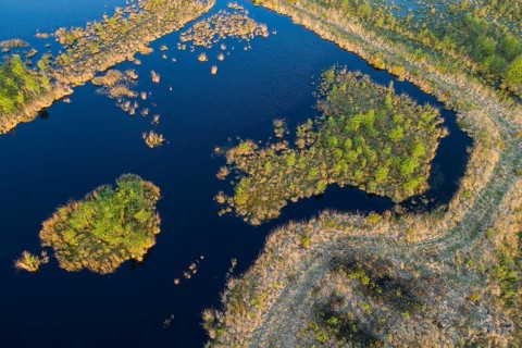 Aerial view of the Goldenstedt Moor