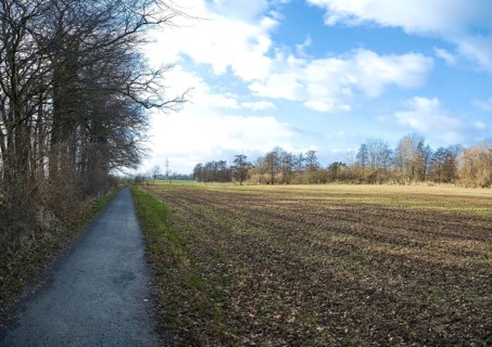 Fallow field in January