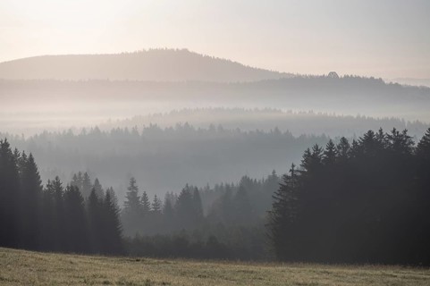 Morning mist in the Bavarian Forest