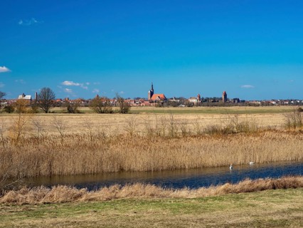 Elbe meadows near Wust-Fischbeck