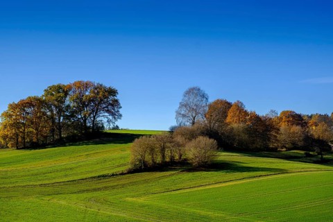 Fields and woods near Doepshofen