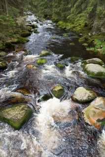 River flowing over stones