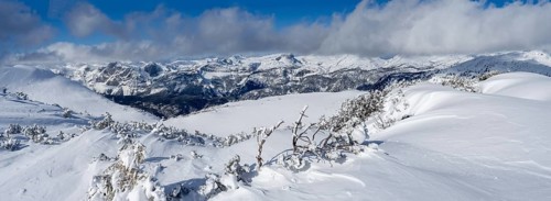 Winter landscape
