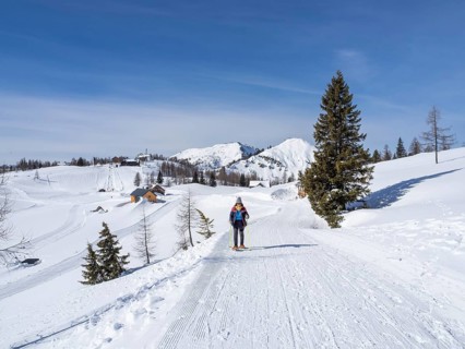 Snowshoe hiker in winter landscape