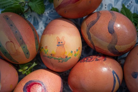 Colourful painted Easter eggs