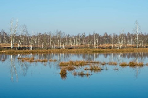 Rewetting area