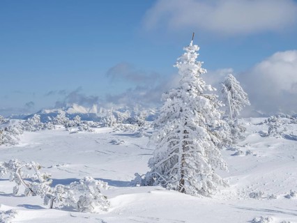 Blue sky over winter landscape