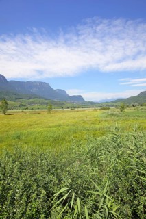 Kalterer See