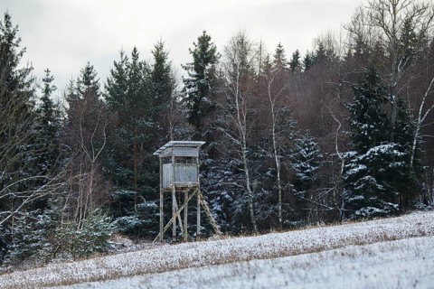 Hunters blind in a snowy landscape next to the forest
