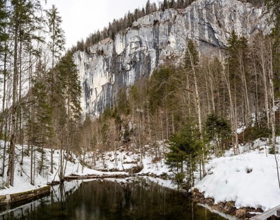Winter landscape