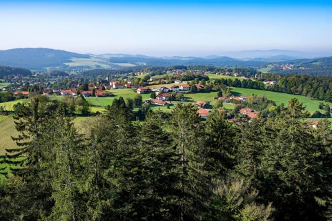 View of the village of Neuschoenau from the tree top walk