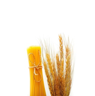 Organic Raw italian pasta and durum wheat grains crop