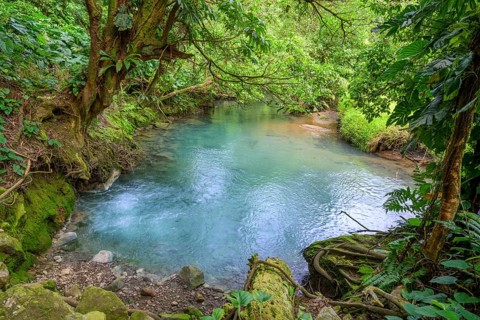 Hot spring with blue turquoise water of the Rio Celeste
